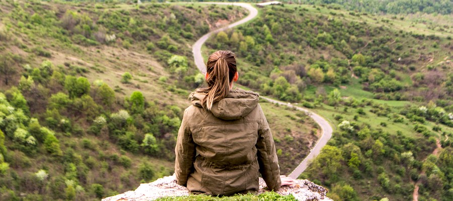 overlooking a distant path.