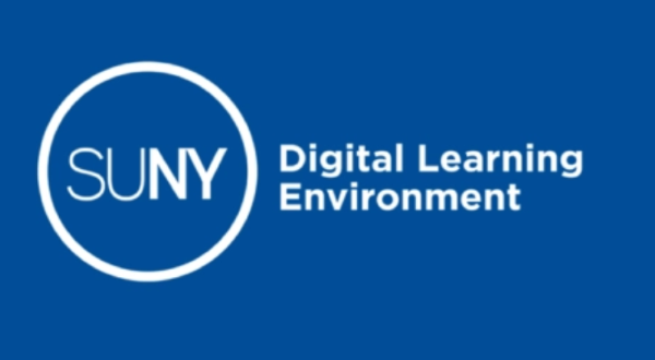 SUNY DLE logo
