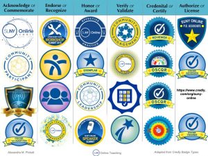 SOT Badge Types