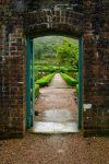 garden pathway