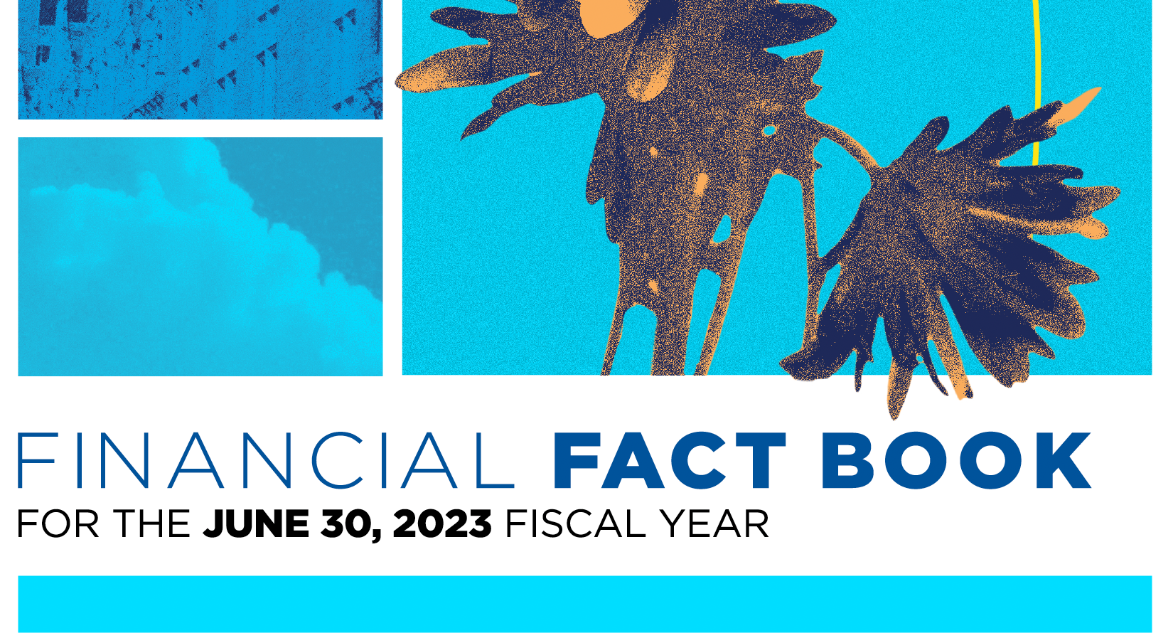 Snippet of the cover for the 2023 SUNY Financial Fact Book